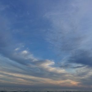 Meet your Posher, Blake